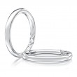 Platinum Band