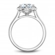 Noam Carver Semi Mount Engagement Ring