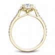 Noam Carver Semi Mount Engagement Ring