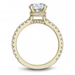 Noam Carver Semi Mount Engagement Ring