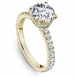 Noam Carver Semi Mount Engagement Ring