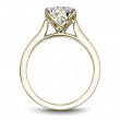 Noam Carver Semi Mount Engagement Ring