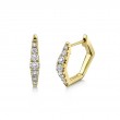 0.49Ct 14K Yellow Gold Diamond Huggie Earring