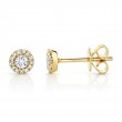 0.24Ct 14K Yellow Gold Diamond Stud Earring