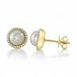 0.16Ct 14K Yellow Gold Diamond & Cultured Pearl Stud Earring