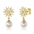 14K Yellow Gold Star Shaped Earring