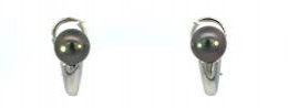 Tahitian Cultured Pearl Earrings